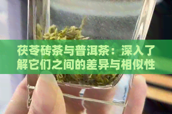 茯苓砖茶与普洱茶：深入了解它们之间的差异与相似性