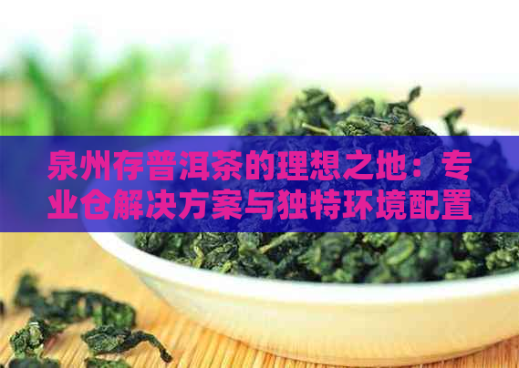 泉州存普洱茶的理想之地：专业仓解决方案与独特环境配置