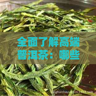 全面了解高端普洱茶：哪些更受欢迎？一篇指南助你挑选普洱茶