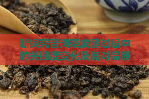 新探究普洱茶发酵过程中的关键度变化及其对品质的影响