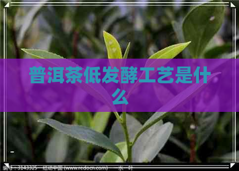 普洱茶低发酵工艺是什么