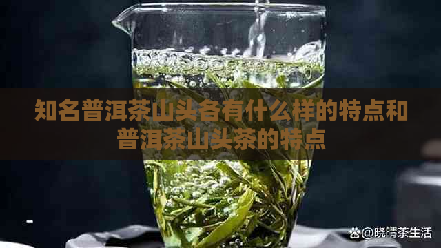 知名普洱茶山头各有什么样的特点和普洱茶山头茶的特点