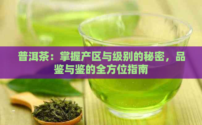 普洱茶：掌握产区与级别的秘密，品鉴与鉴的全方位指南