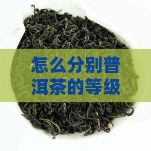 怎么分别普洱茶的等级：掌握鉴别技巧与等级划分