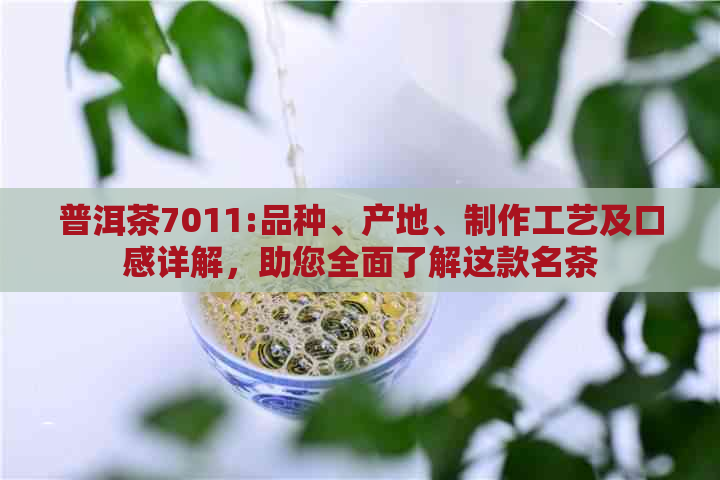 普洱茶7011:品种、产地、制作工艺及口感详解，助您全面了解这款名茶