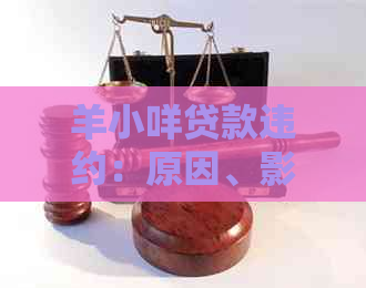 羊小咩贷款违约：原因、影响与解决策略