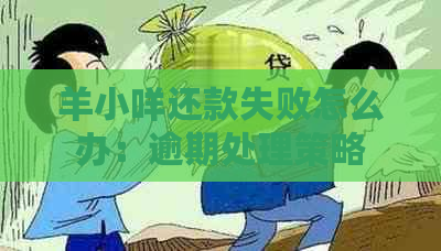 羊小咩还款失败怎么办：逾期处理策略