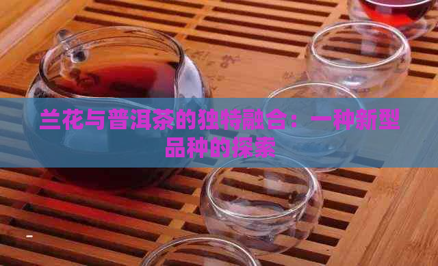 兰花与普洱茶的独特融合：一种新型品种的探索