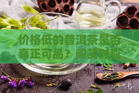 价格低的普洱茶是否真正可品？购买时应注意哪些因素以确保品质？