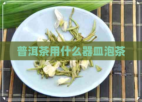 普洱茶用什么器皿泡茶