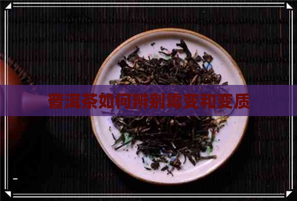 普洱茶如何辨别霉变和变质