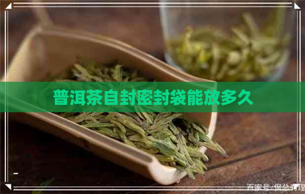 普洱茶自封密封袋能放多久