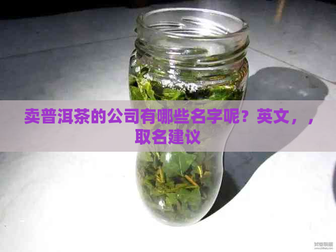 卖普洱茶的公司有哪些名字呢？英文，，取名建议