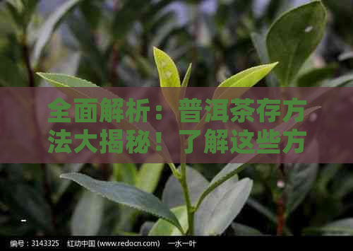 全面解析：普洱茶存方法大揭秘！了解这些方式，让茶叶保持状态