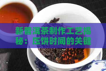 新普洱茶制作工艺揭秘：压饼时间的关键因素与适宜时期