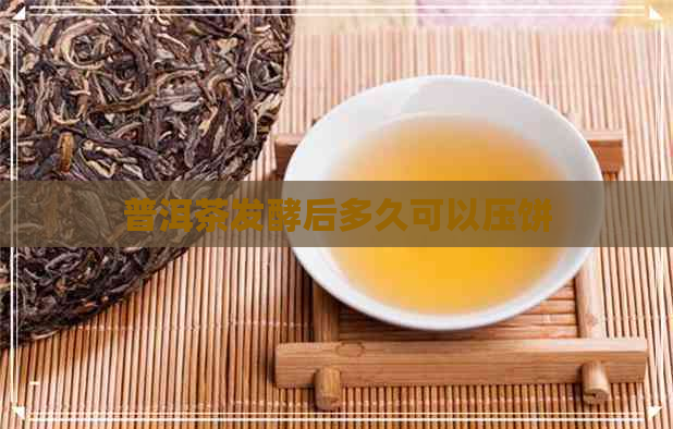 普洱茶发酵后多久可以压饼