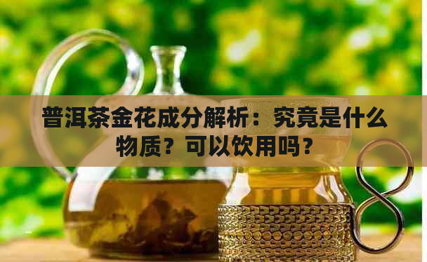 普洱茶金花成分解析：究竟是什么物质？可以饮用吗？