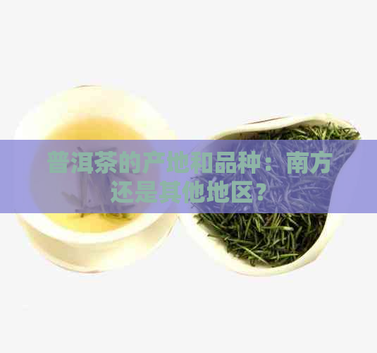 普洱茶的产地和品种：南方还是其他地区？