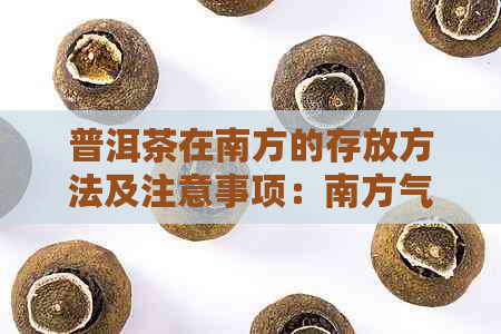 普洱茶在南方的存放方法及注意事项：南方气候如何影响普洱茶品质？