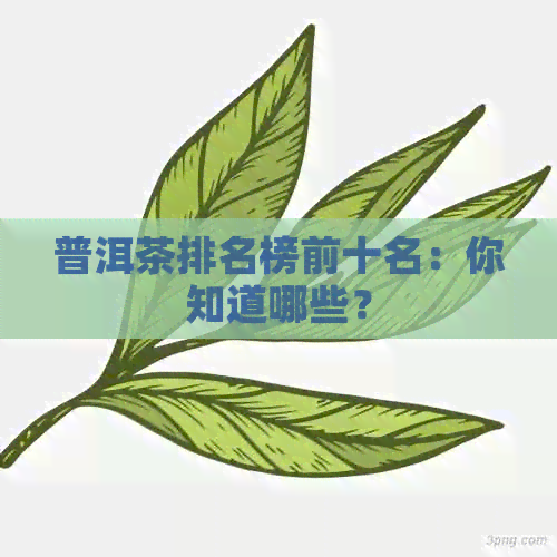 普洱茶排名榜前十名：你知道哪些？