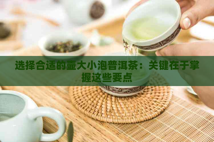 选择合适的壶大小泡普洱茶：关键在于掌握这些要点