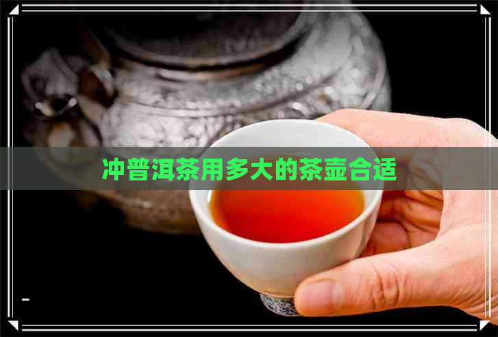 冲普洱茶用多大的茶壶合适