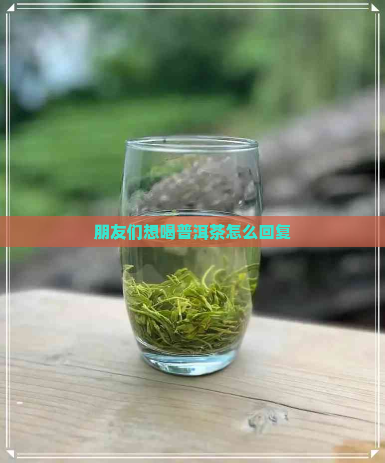 朋友们想喝普洱茶怎么回复