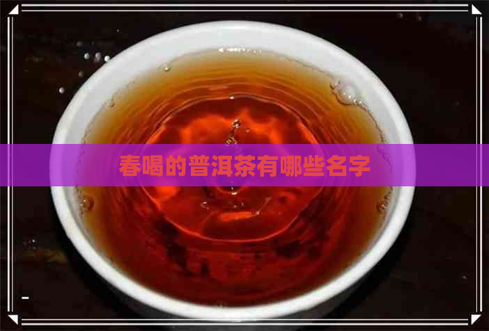 春喝的普洱茶有哪些名字