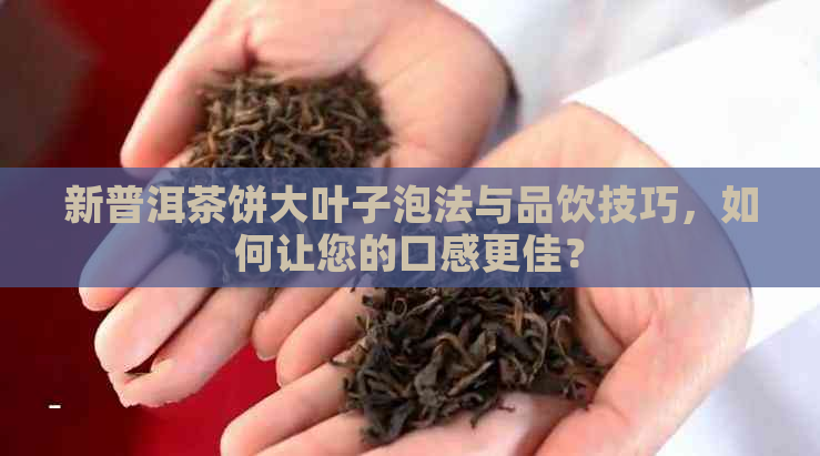 新普洱茶饼大叶子泡法与品饮技巧，如何让您的口感更佳？