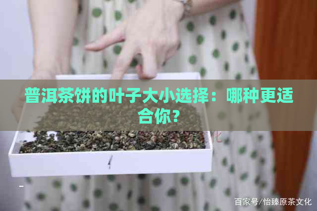 普洱茶饼的叶子大小选择：哪种更适合你？