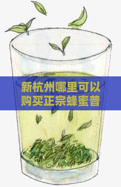 新杭州哪里可以购买正宗蜂蜜普洱茶？请推荐优质购物地点。