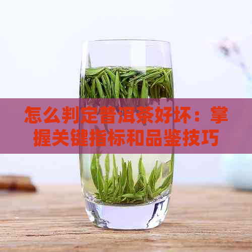 怎么判定普洱茶好坏：掌握关键指标和品鉴技巧，轻松鉴别优劣