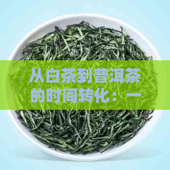 从白茶到普洱茶的时间转化：一个全面的指南