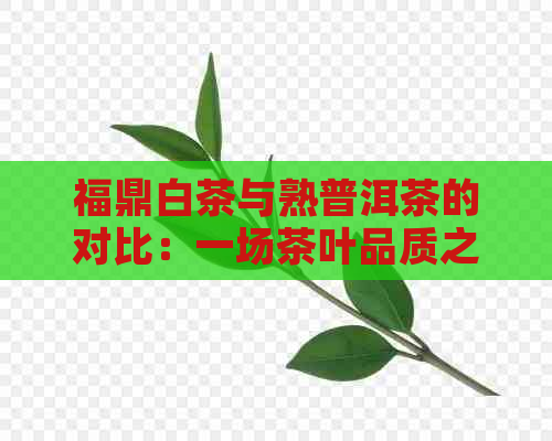 福鼎白茶与熟普洱茶的对比：一场茶叶品质之战