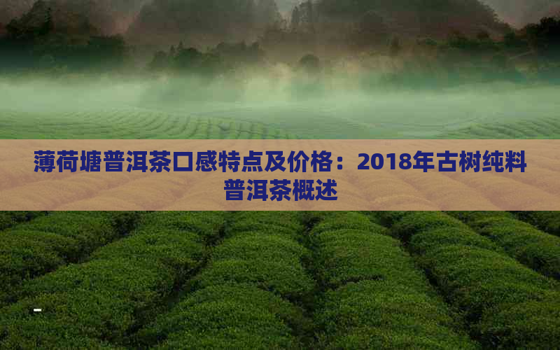 薄荷塘普洱茶口感特点及价格：2018年古树纯料普洱茶概述