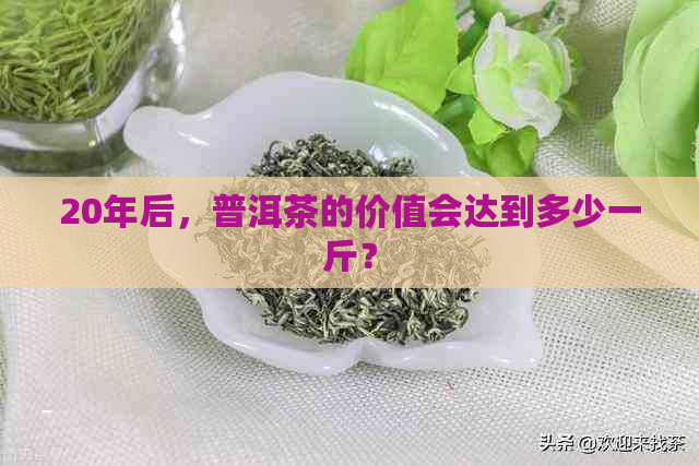 20年后，普洱茶的价值会达到多少一斤？