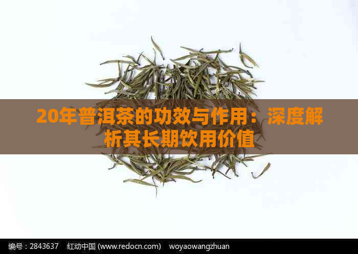 20年普洱茶的功效与作用：深度解析其长期饮用价值