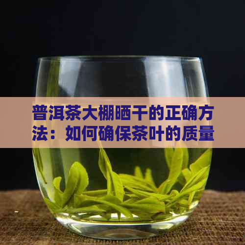 普洱茶大棚晒干的正确方法：如何确保茶叶的质量与口感？