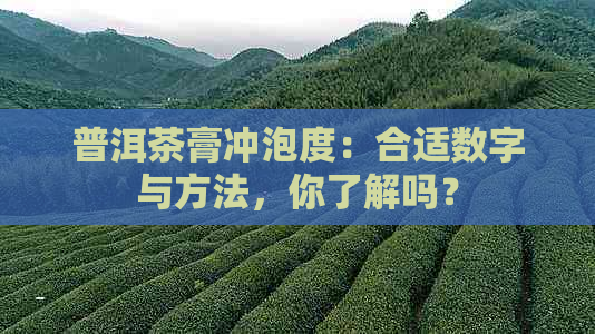 普洱茶膏冲泡度：合适数字与方法，你了解吗？