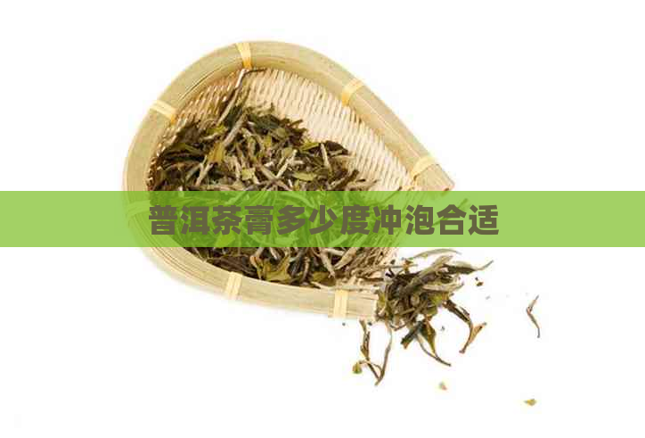 普洱茶膏多少度冲泡合适