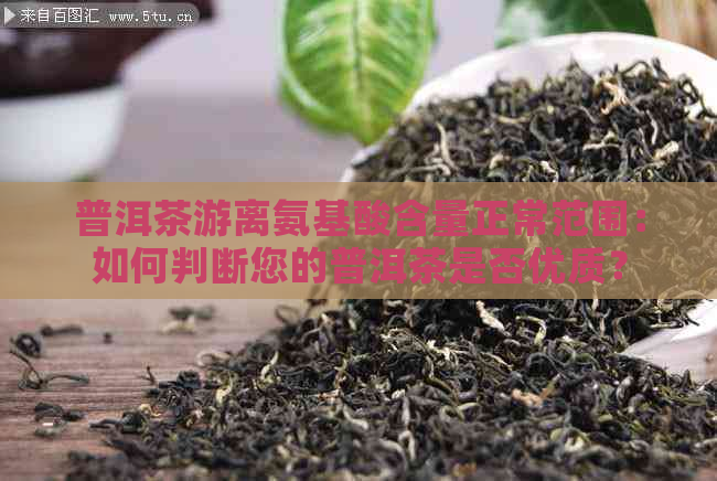 普洱茶游离氨基酸含量正常范围：如何判断您的普洱茶是否优质？