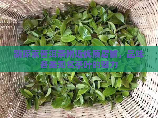 新探索普洱茶附近优质店铺，品味各类知名茶叶的魅力