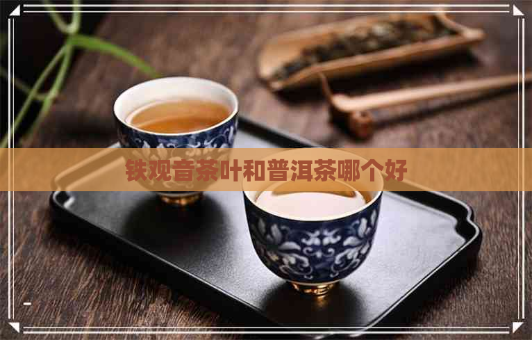 铁观音茶叶和普洱茶哪个好