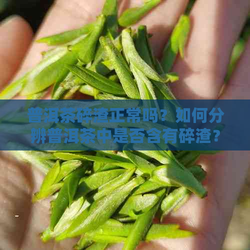 普洱茶碎渣正常吗？如何分辨普洱茶中是否含有碎渣？