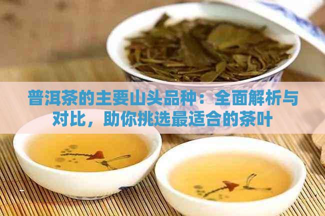 普洱茶的主要山头品种：全面解析与对比，助你挑选最适合的茶叶