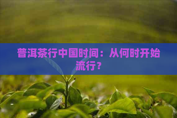 普洱茶行中国时间：从何时开始流行？