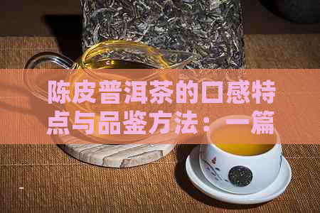 陈皮普洱茶的口感特点与品鉴方法：一篇文章全面解析