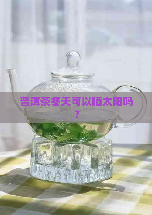 普洱茶冬天可以晒太阳吗？