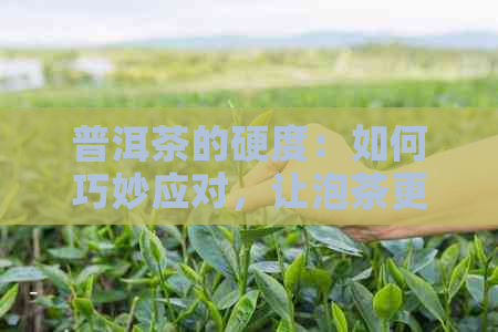 普洱茶的硬度：如何巧妙应对，让泡茶更轻松