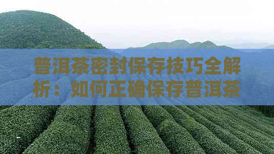 普洱茶密封保存技巧全解析：如何正确保存普洱茶以保持其品质与口感？